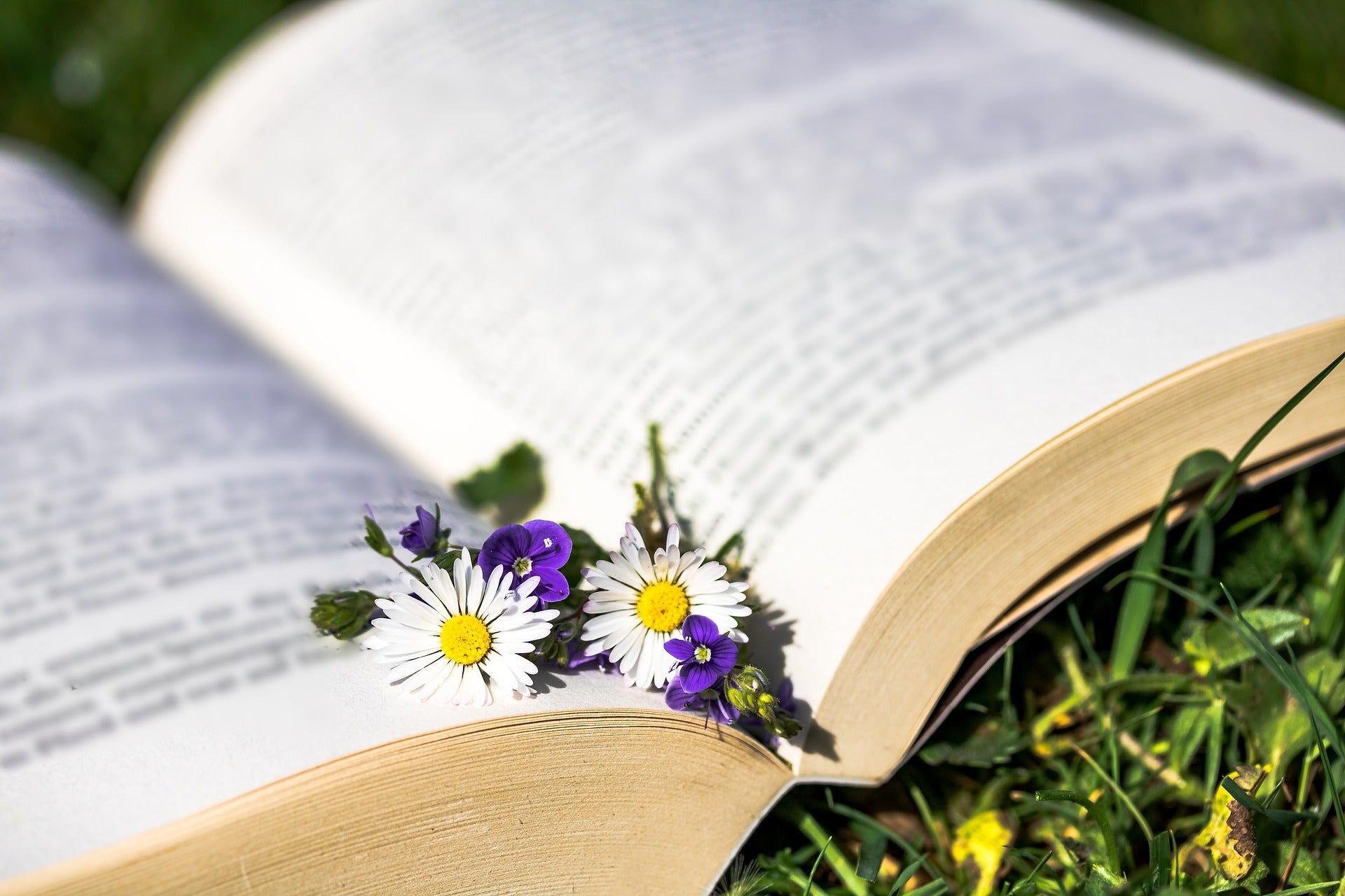 6 LIVRES POUR SE CONSCIENTISER À L’ACHAT LOCAL