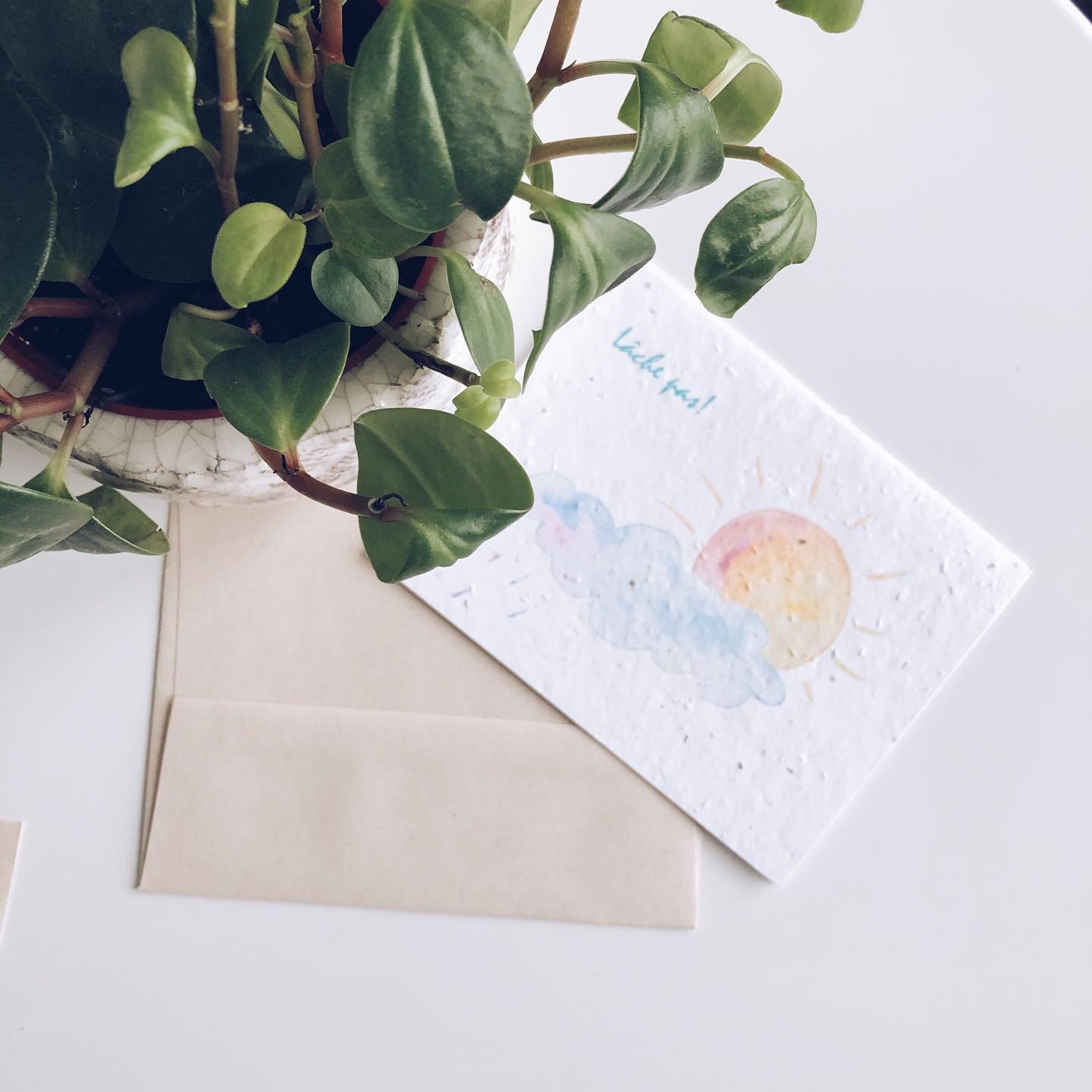 Flowerink-Dépression saisonnière et pandémie