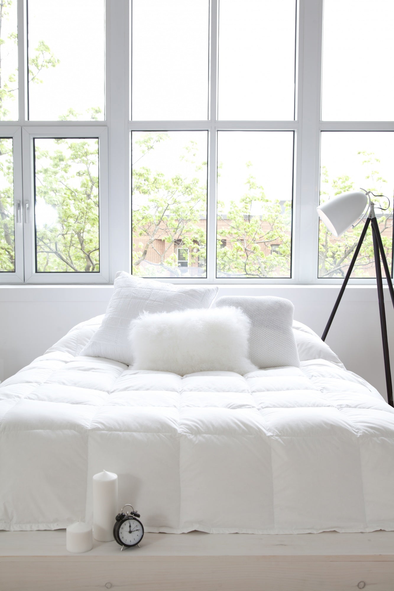 « Instaspiration » de février