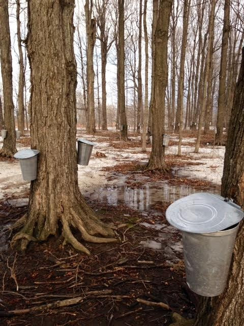 Domaine Labranche : Au coeur de l'entreprise