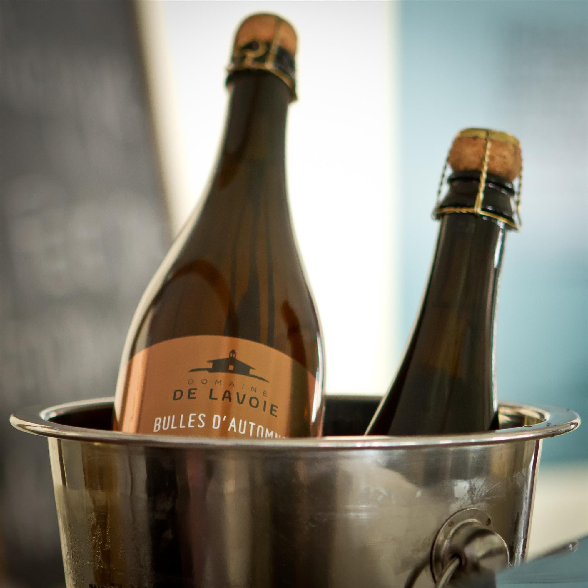 Wine and bottle tasting - Domaine de Lavoie - Vineyard and cider house