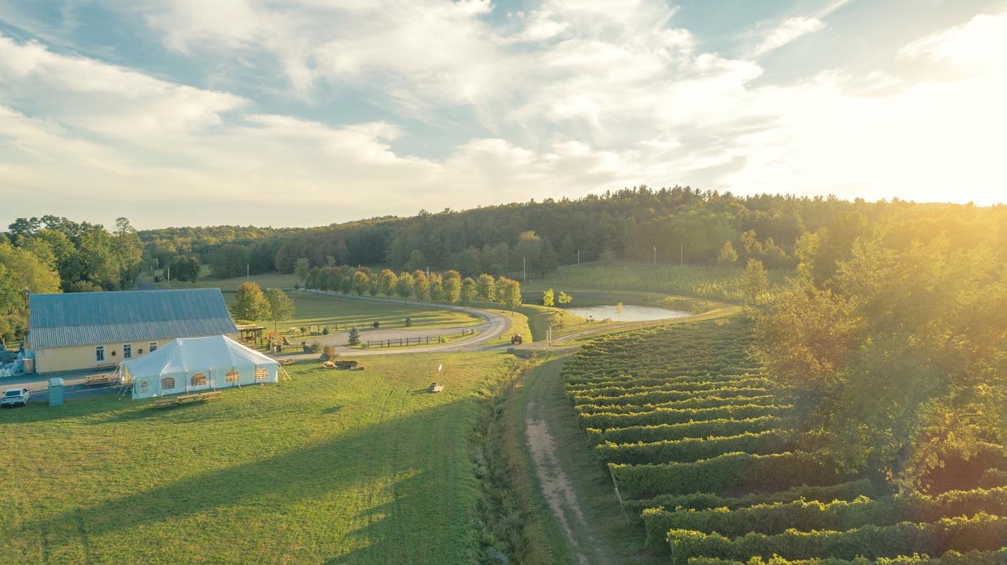 Wine tasting and gifts for 2 people - Domaine Bresee Vineyard