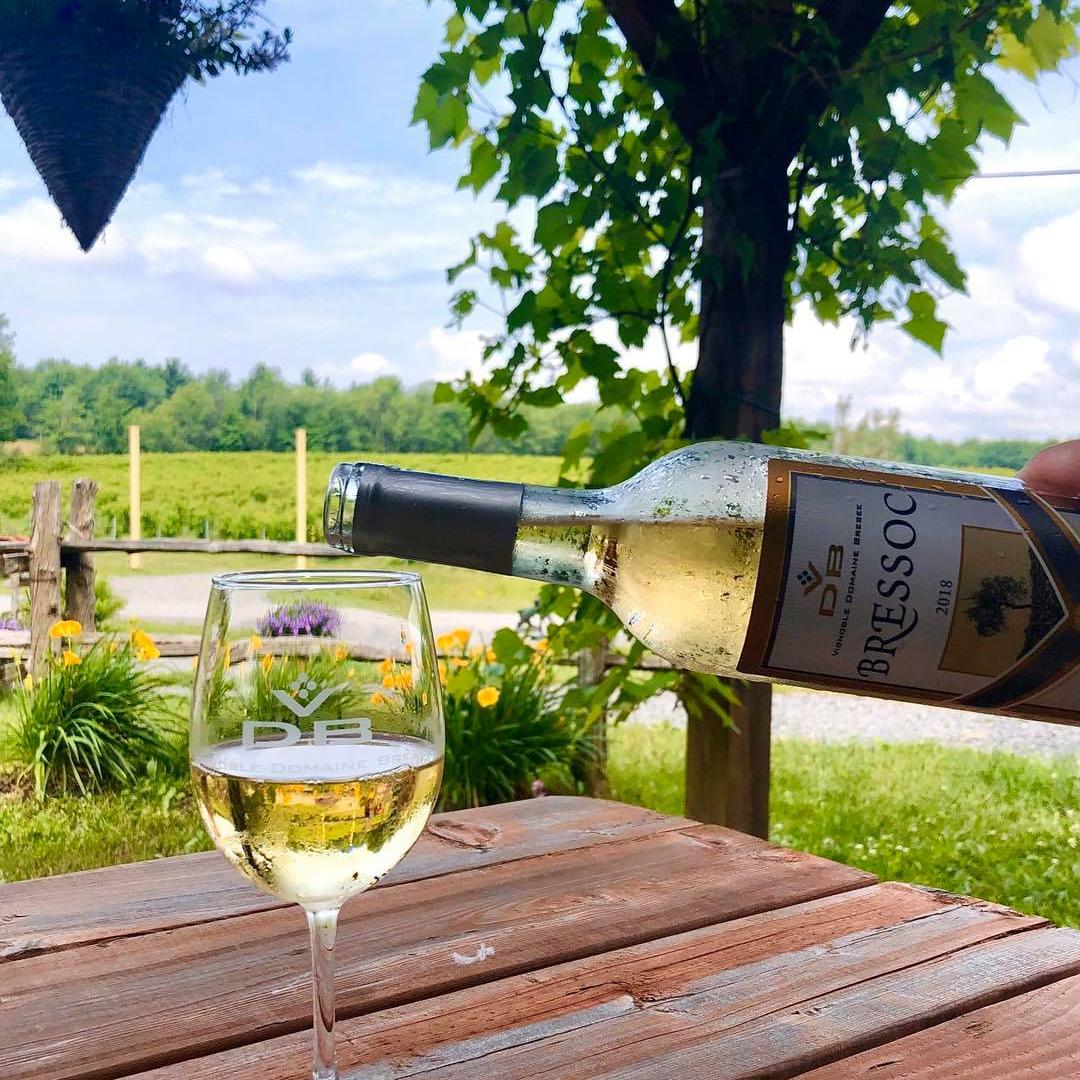 Wine tasting and gifts for 2 people - Domaine Bresee Vineyard