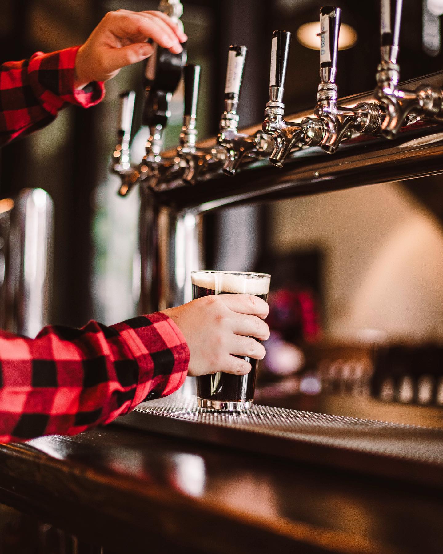 Beer tasting and meal for 2 people - Refuge des Brasseurs