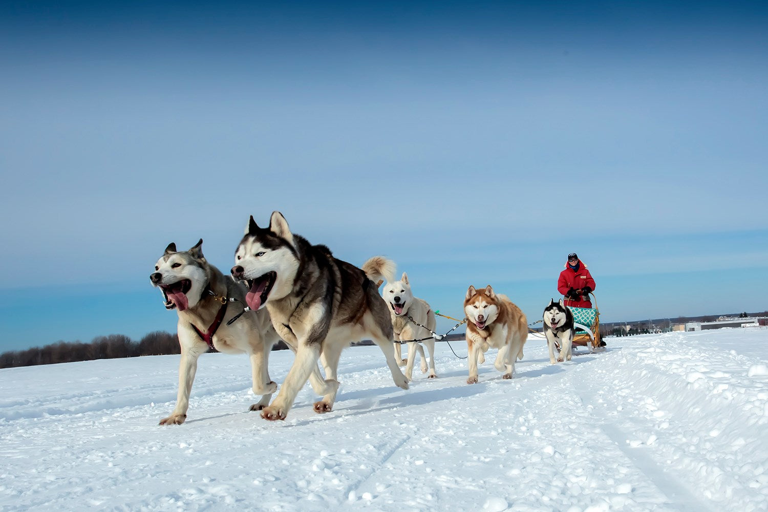 5-course dinner and activity for 2 people - Manoir du Lac William