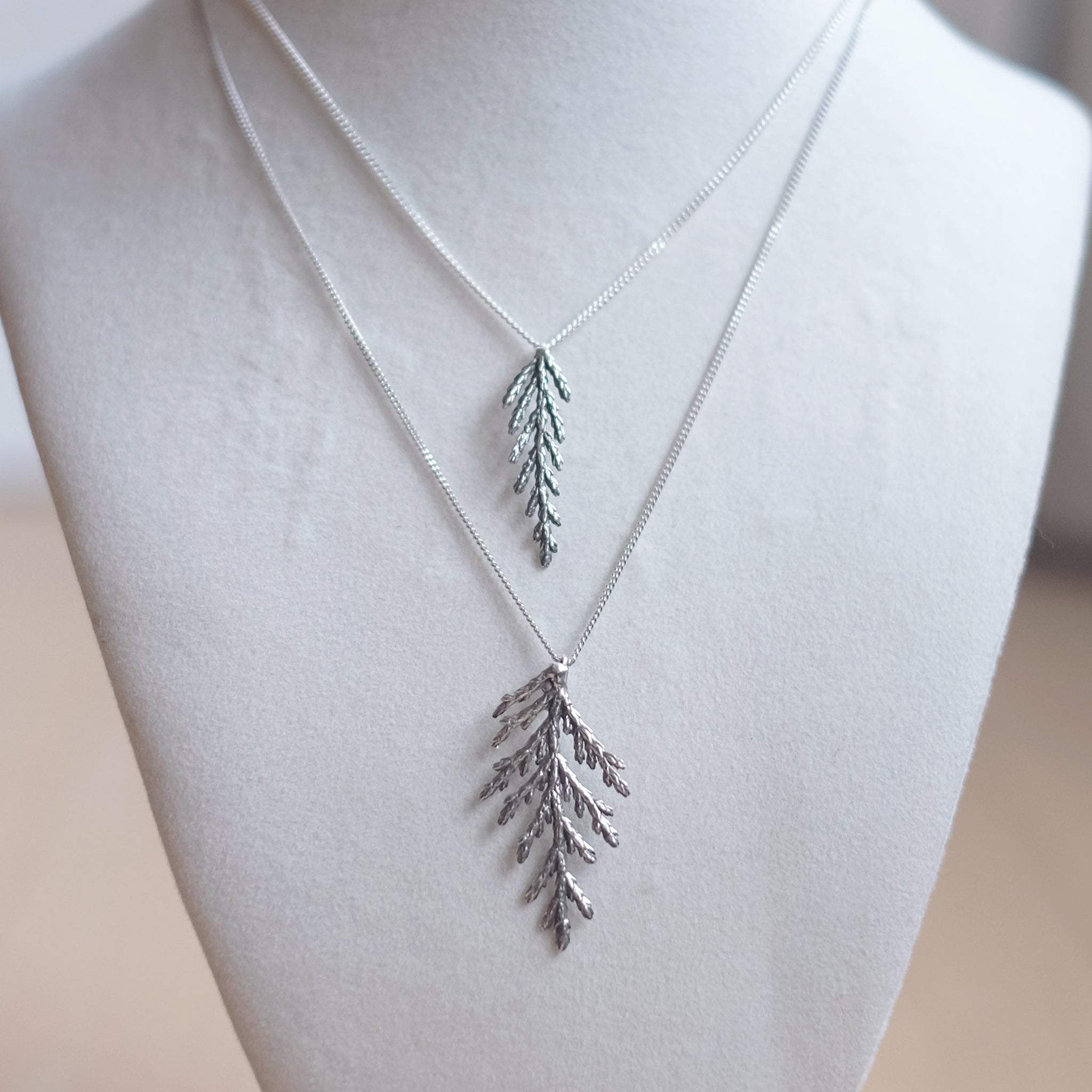 Collier branche de cèdre, petit