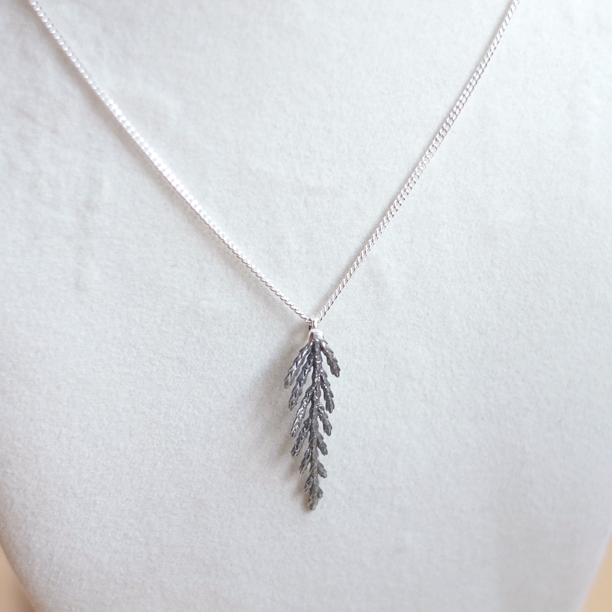 Collier branche de cèdre, petit