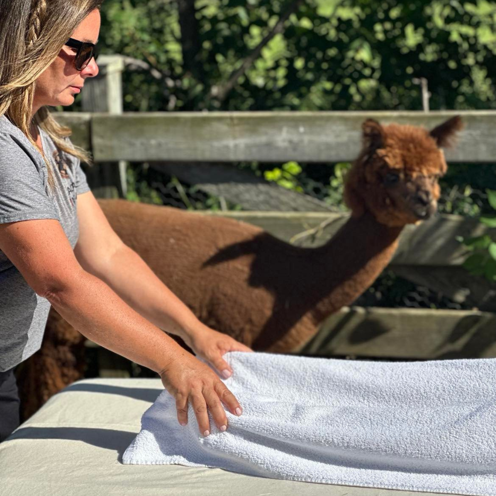 Massage from the 5 continents - The Alpaca House