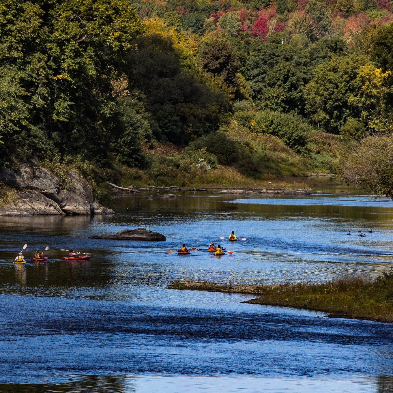 Kayak or canoe activity for 2 people - Canot-Kayak Richmond