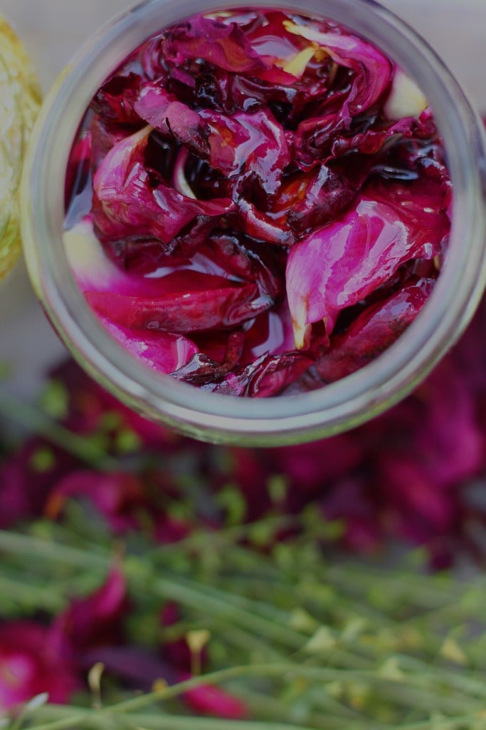 VISAGE – Sérum précieux – Rose & thé du Labrador