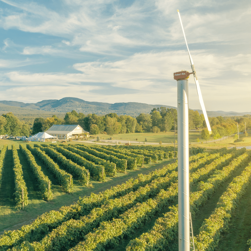 Wine tasting and gifts for 2 people - Domaine Bresee Vineyard