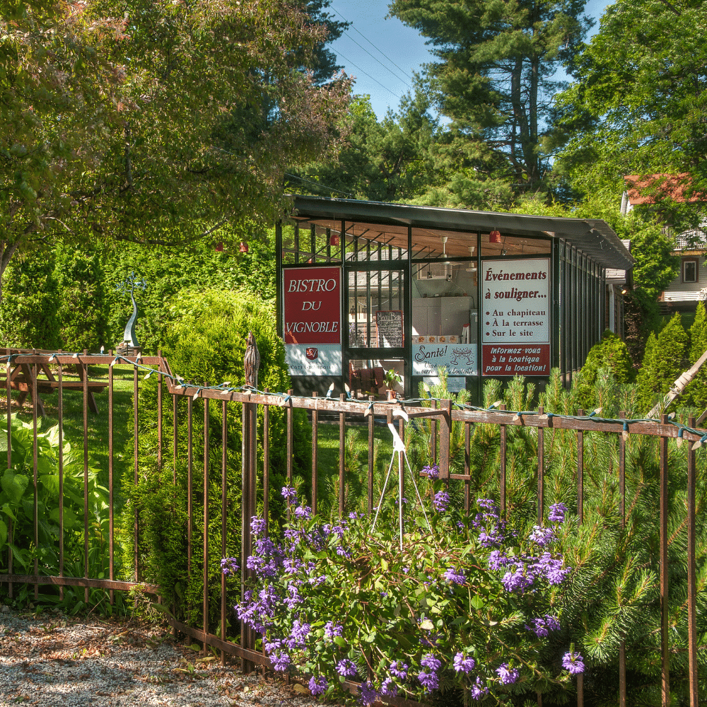 Wine tasting for 2 people - Domaine des Côtes d'Ardoise