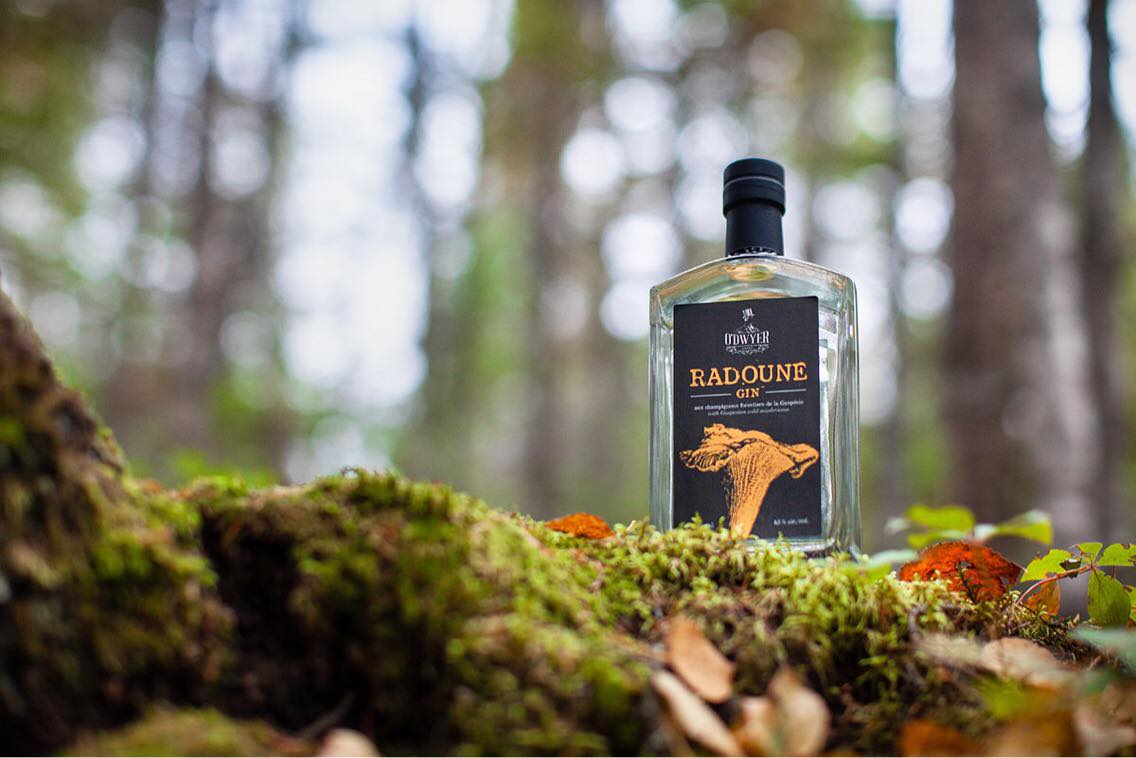 Spirits Tour and Tasting for 2 - O'Dwyer