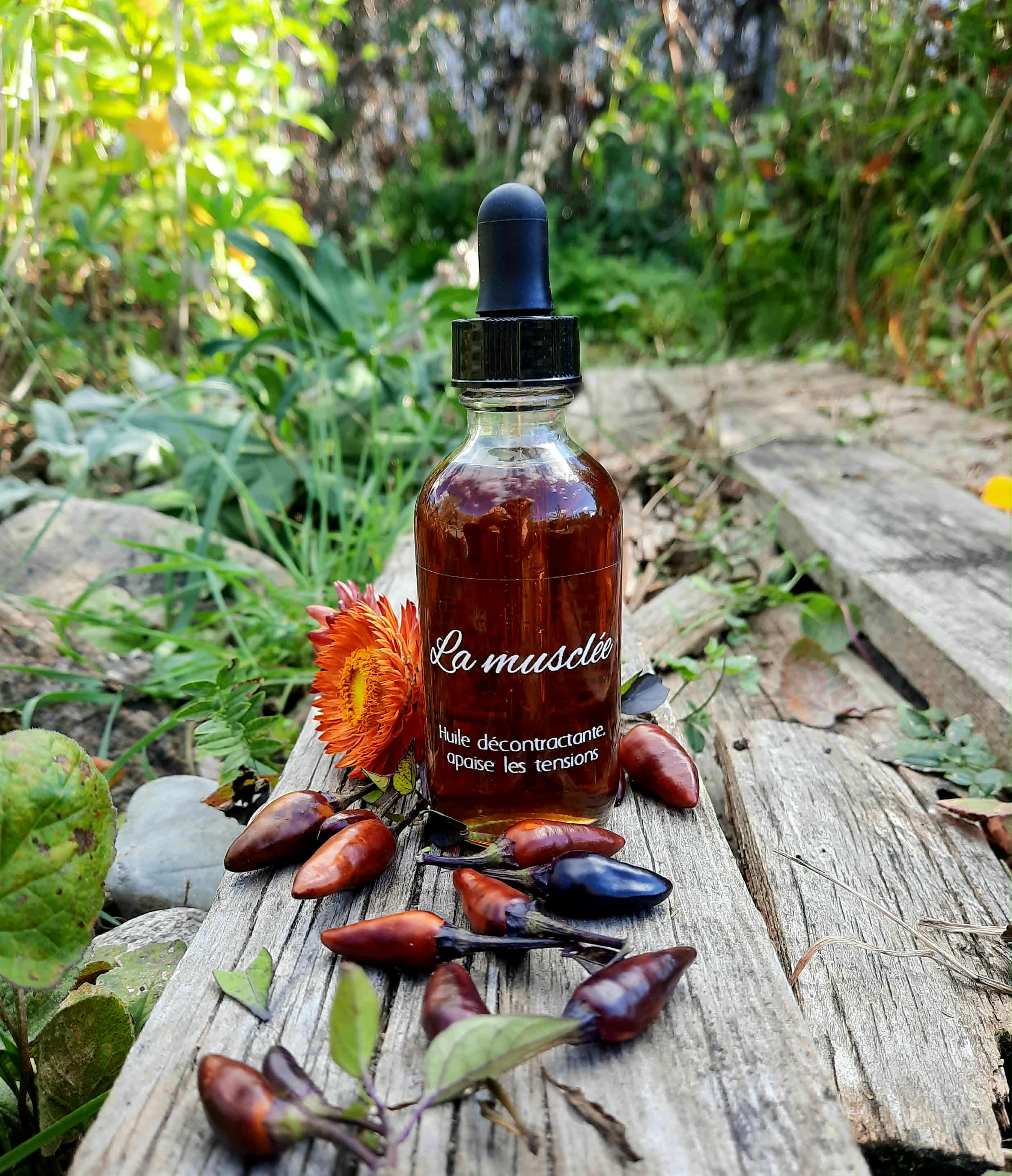 La Musclée – Huile corporelle réchauffante & décontractante