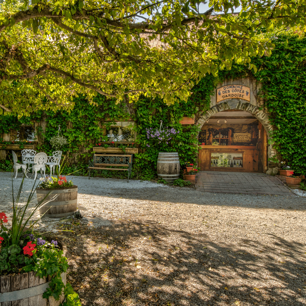 Wine and cheese tasting for 2 people - Domaine des Côtes d'Ardoise