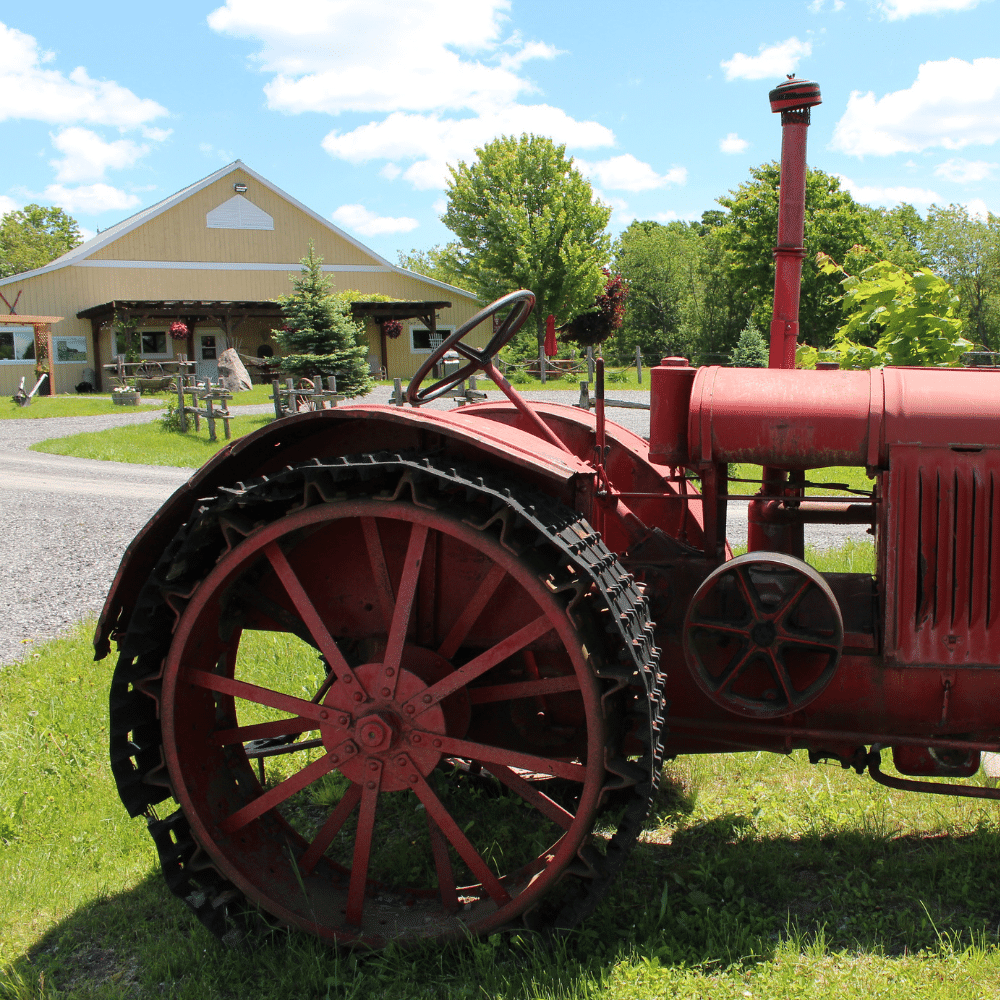 Wine tasting and gifts for 2 people - Domaine Bresee Vineyard