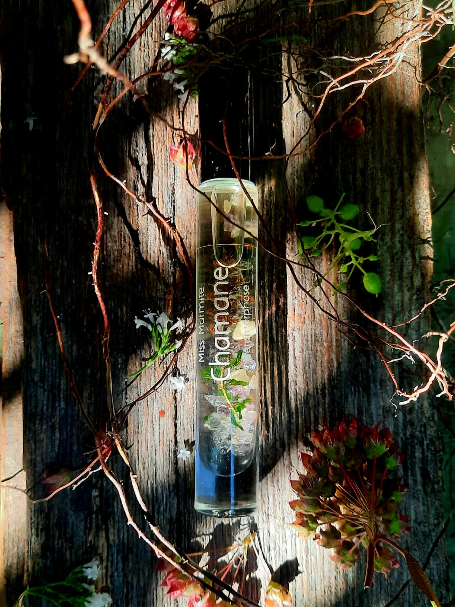 Parfum Chamane - Métamorphose