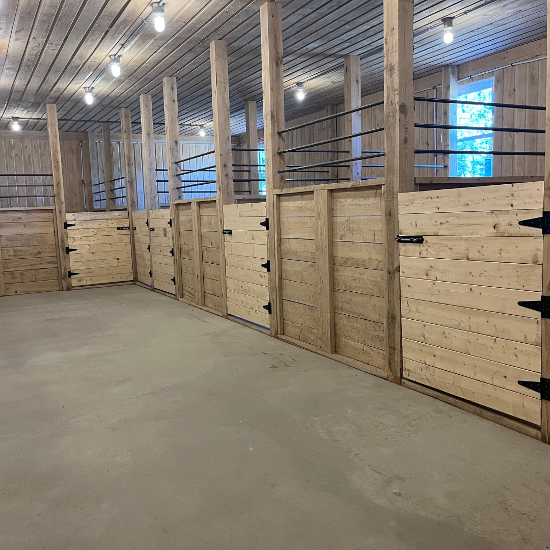 Horseback Riding Initiation for 2 People - The Second Chance Ranch