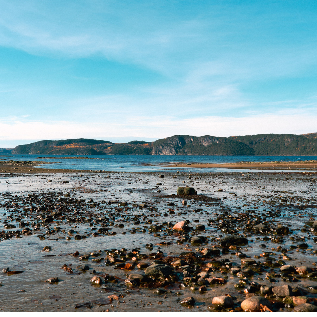 Nuitée, souper et déjeuner pour 2 personnes - Auberge des Battures