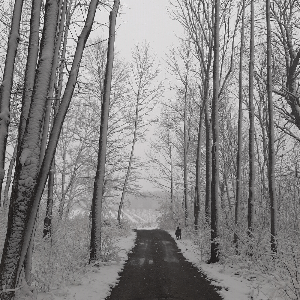 Wine tasting and gifts for 2 people - Domaine Bresee Vineyard