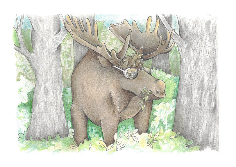 Greeting card - Fungi Fumet