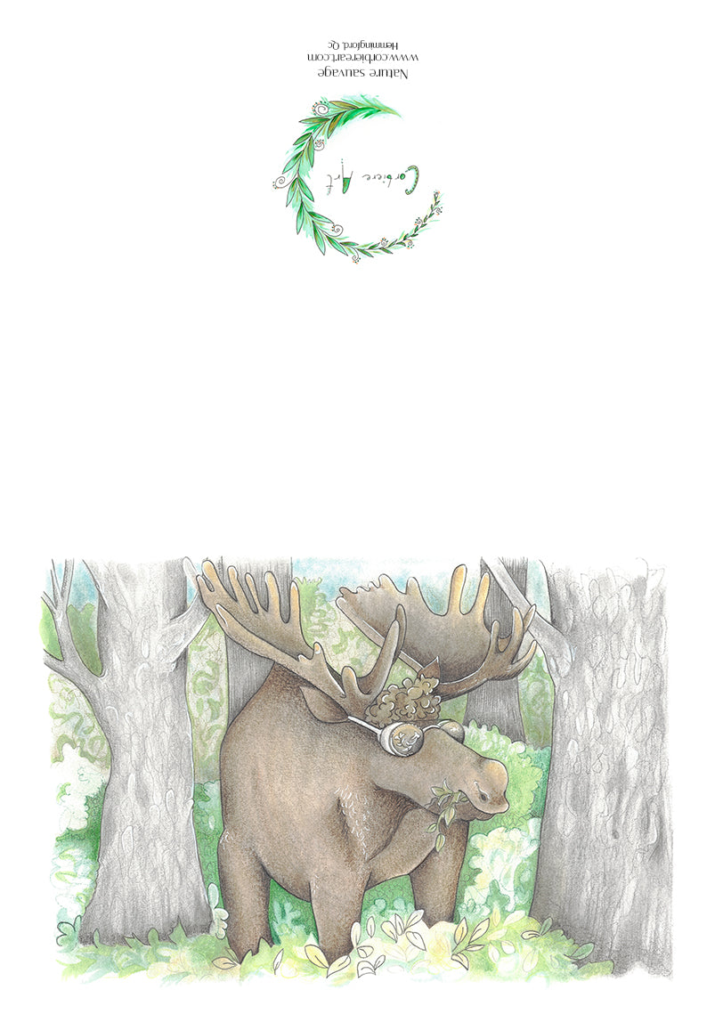 Greeting card - Fungi Fumet
