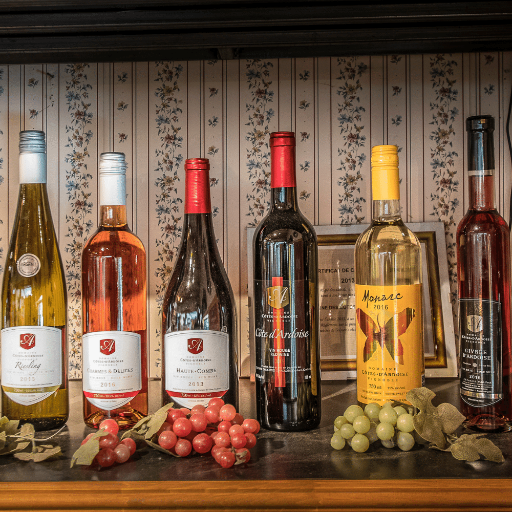 Wine and cheese for 2 people - Domaine des Côtes d'Ardoise