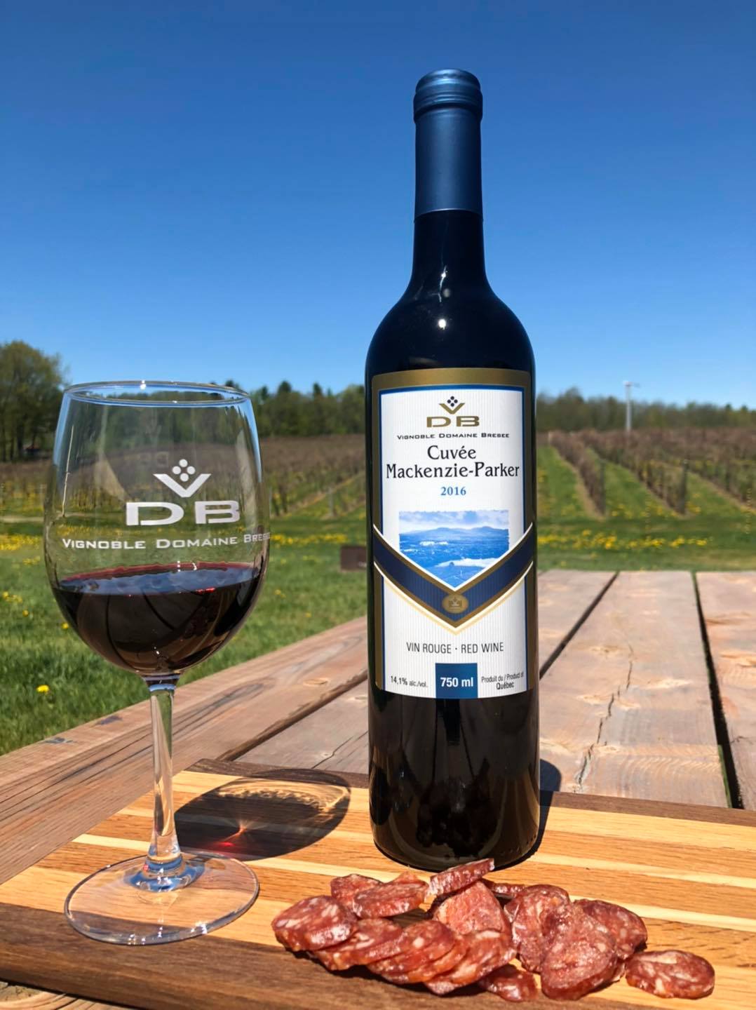 Wine tasting and gifts for 2 people - Domaine Bresee Vineyard