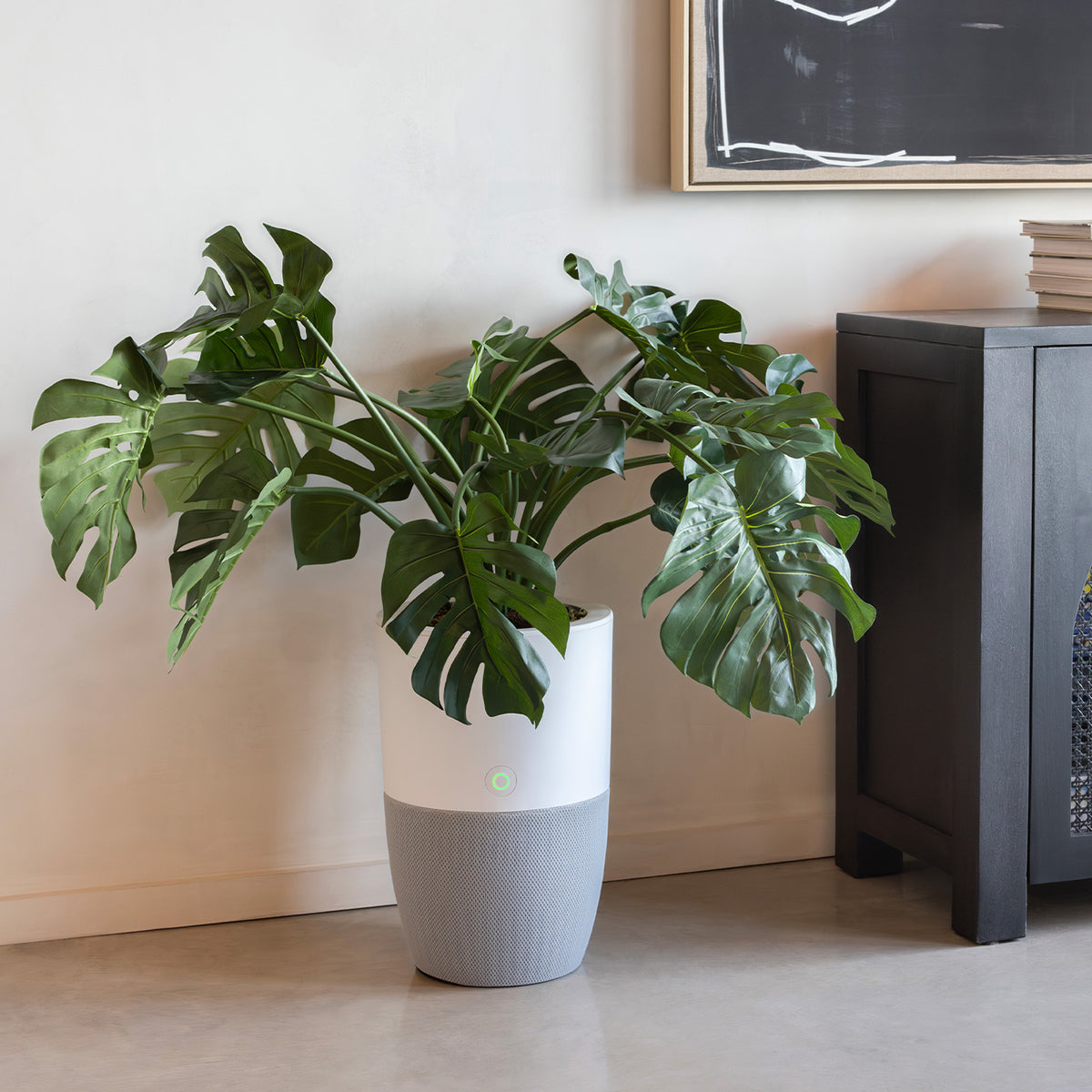 Bloom air purifier with a large plant in a living room