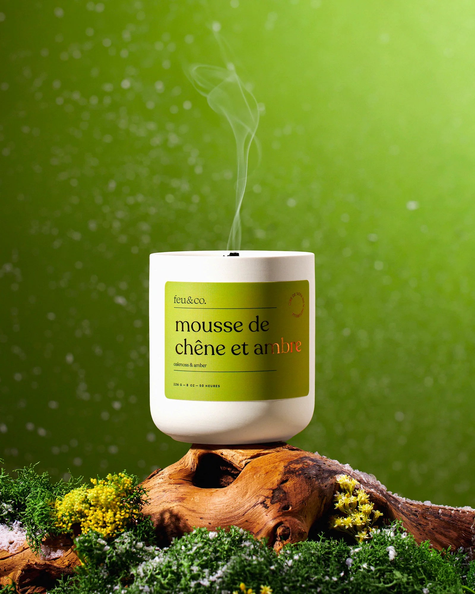 Bougie - Mousse de chêne et ambre