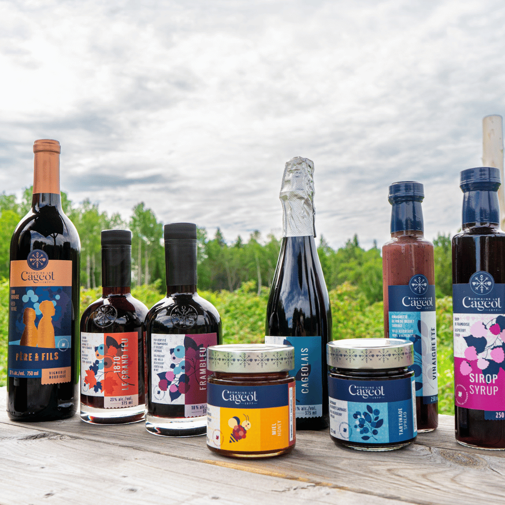 Visite du vignoble et dégustation pour 2 personnes - Domaine le Cageot