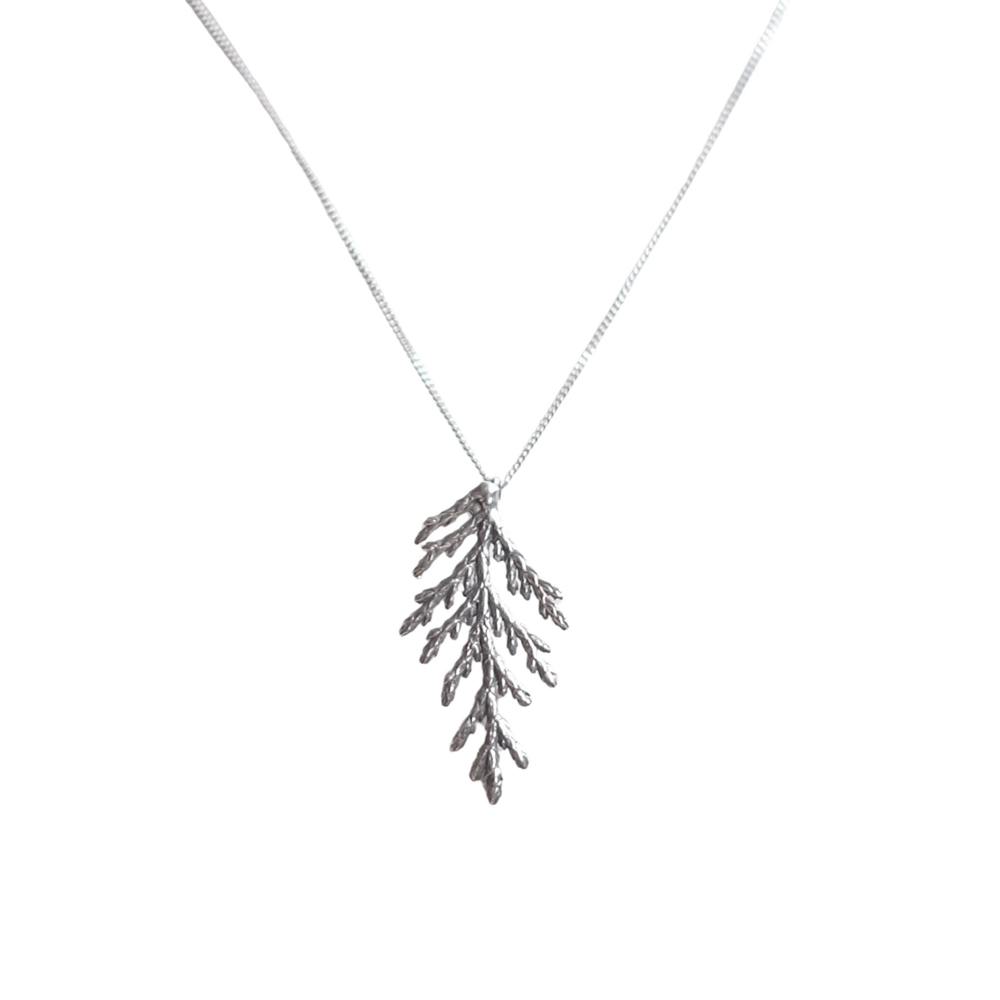 Collier branche de cèdre, grand