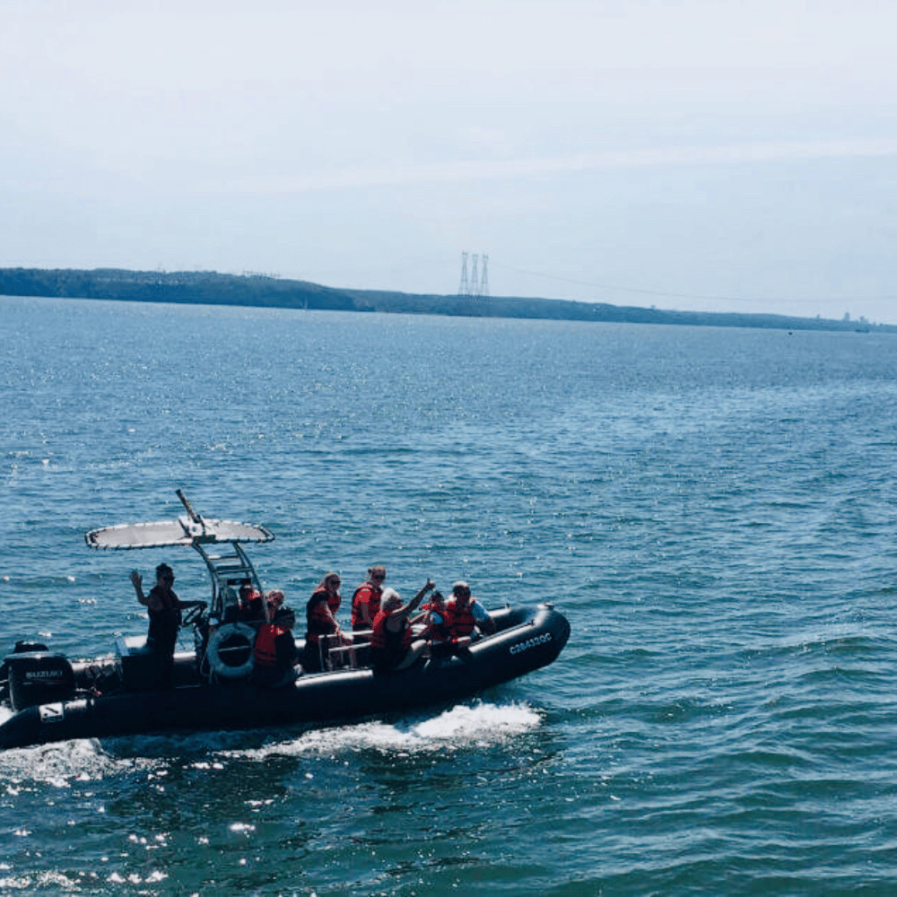 Cruise and fireworks for 4 people - Cruises Orléans