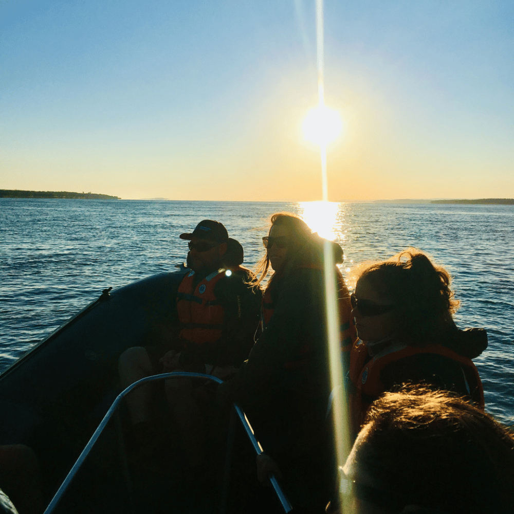 Bubble and River Cruise for 2 people - Orléans Cruises
