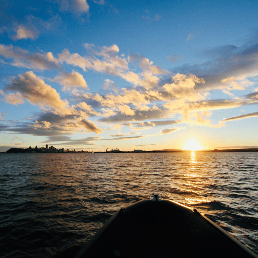 Cruise and fireworks for 4 people - Cruises Orléans