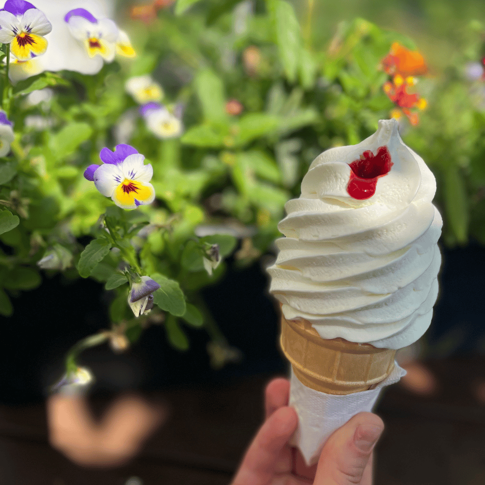 Meal and dessert for 2 people - Nestor Picore Gourmandises