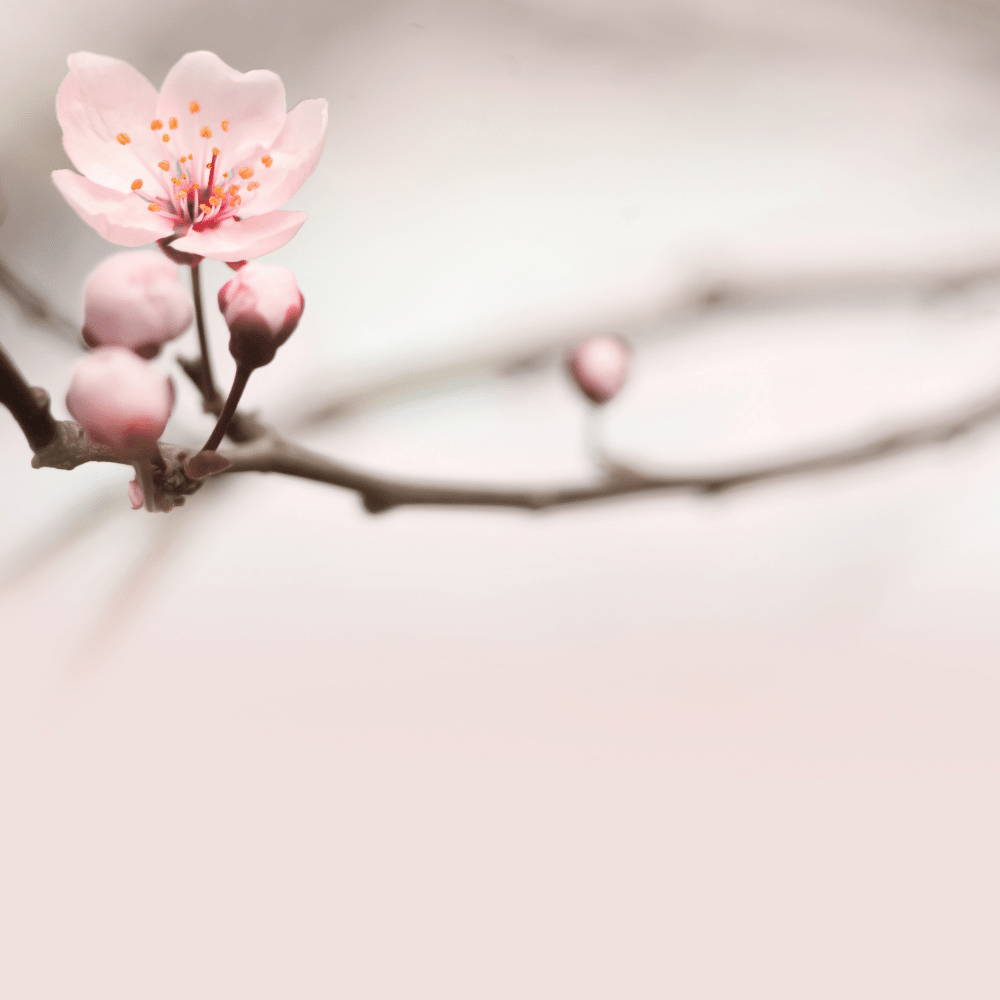Relaxing Oxygen Facial Treatment for 1 person - Dermka Clinik Laval (Vimont)