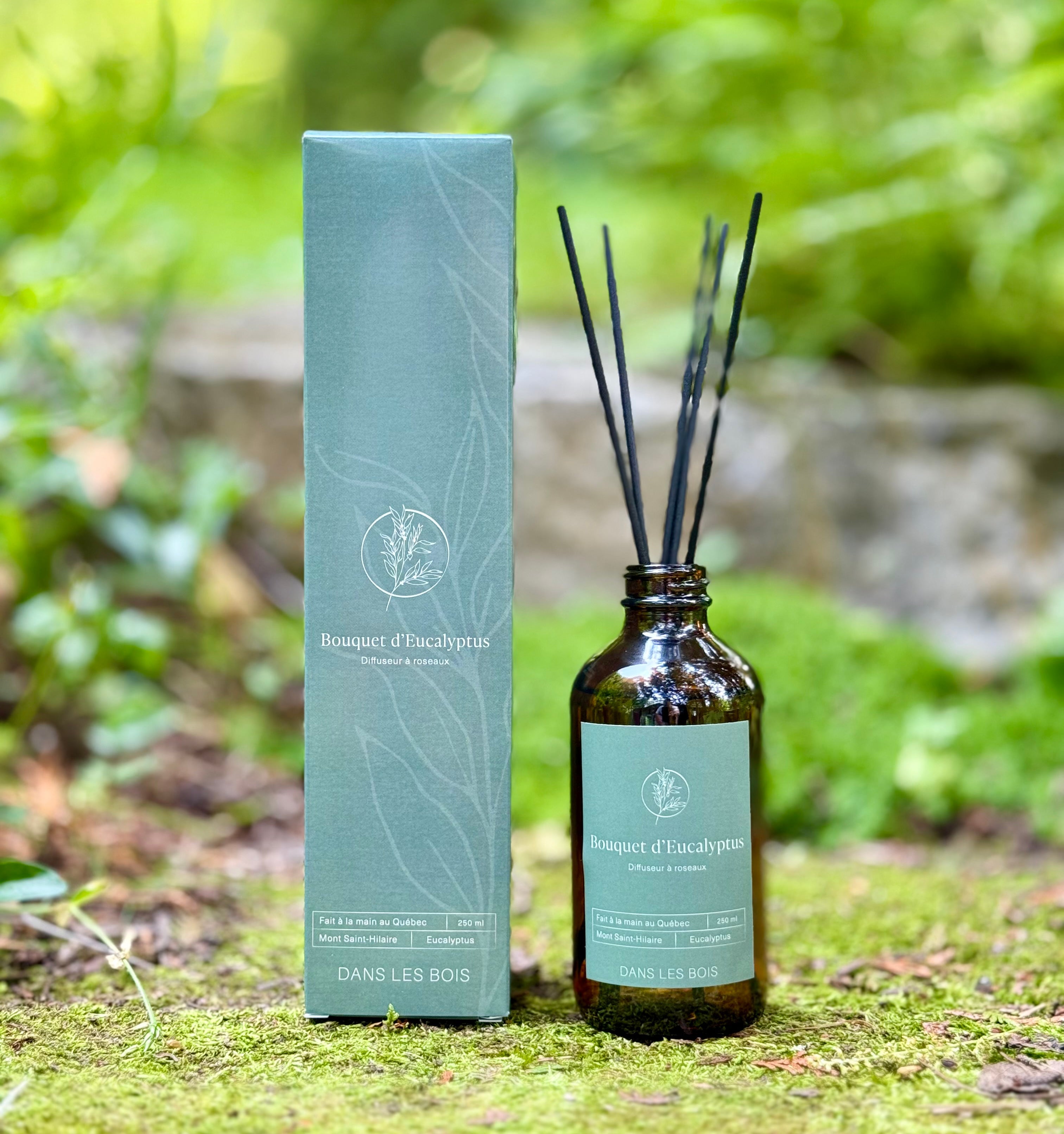 Diffuseur à roseaux - Bouquet d'Eucalyptus