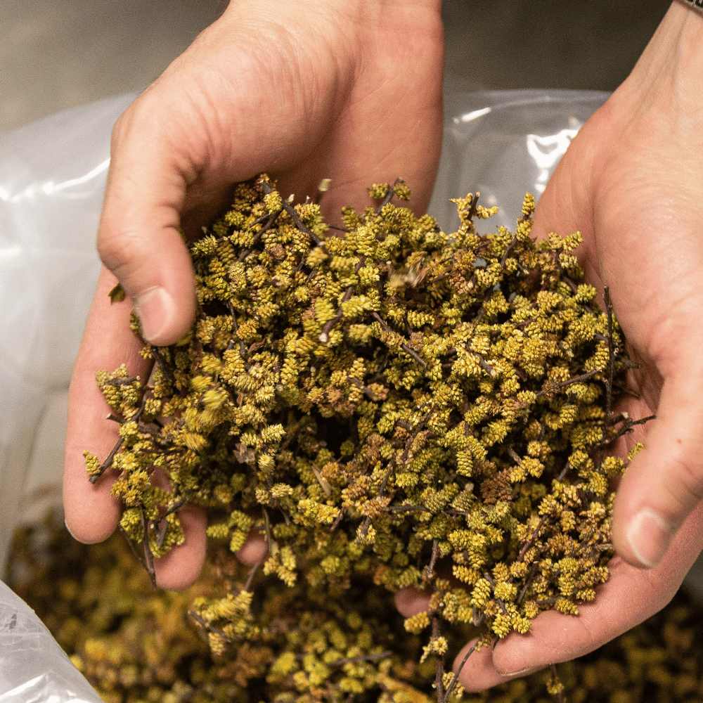 Tasting and tour for 2 people - Fjord Distillery