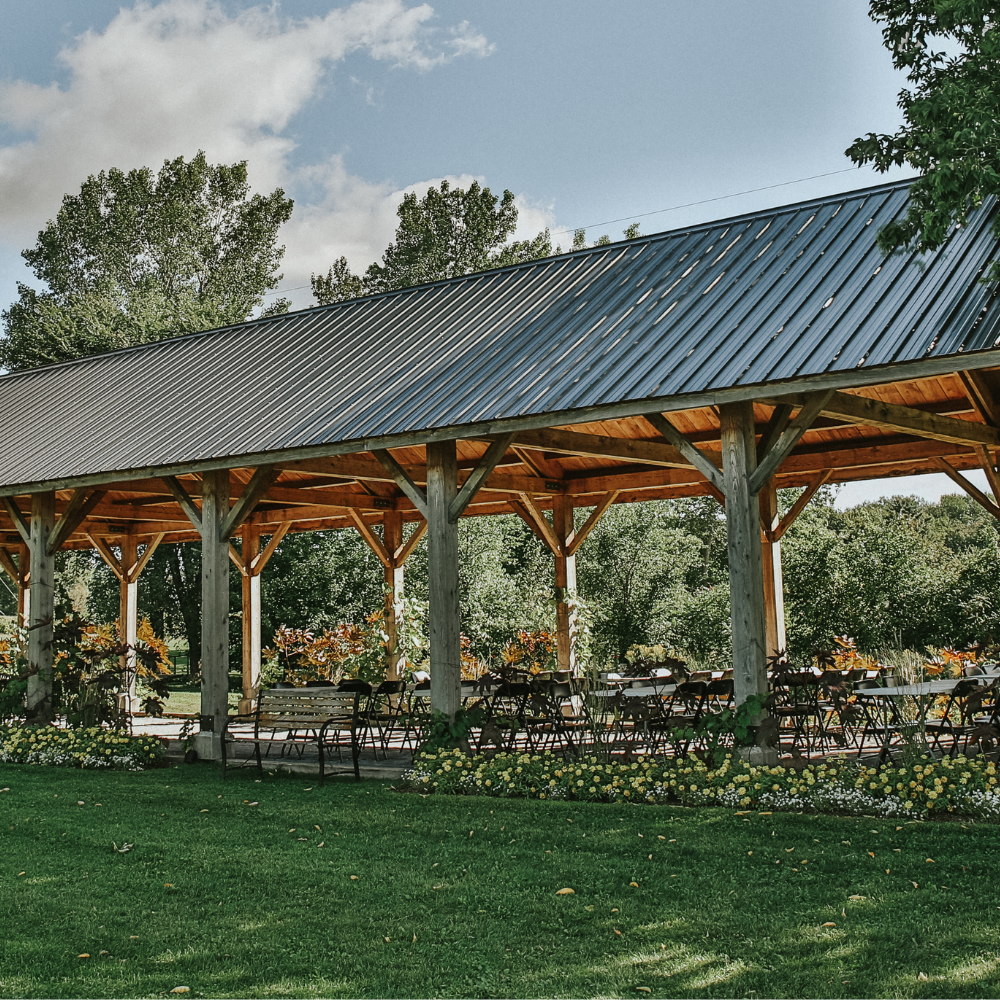 Wine tasting for 2 people - Domaine du Ridge