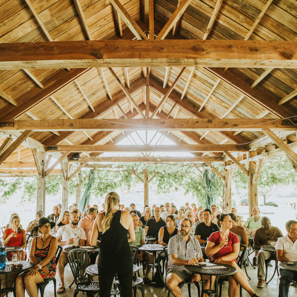 Wine tasting and 12-bottle box for 2 people - Domaine du Ridge