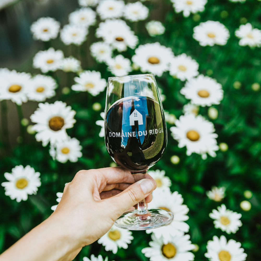 Wine tasting for 2 people - Domaine du Ridge