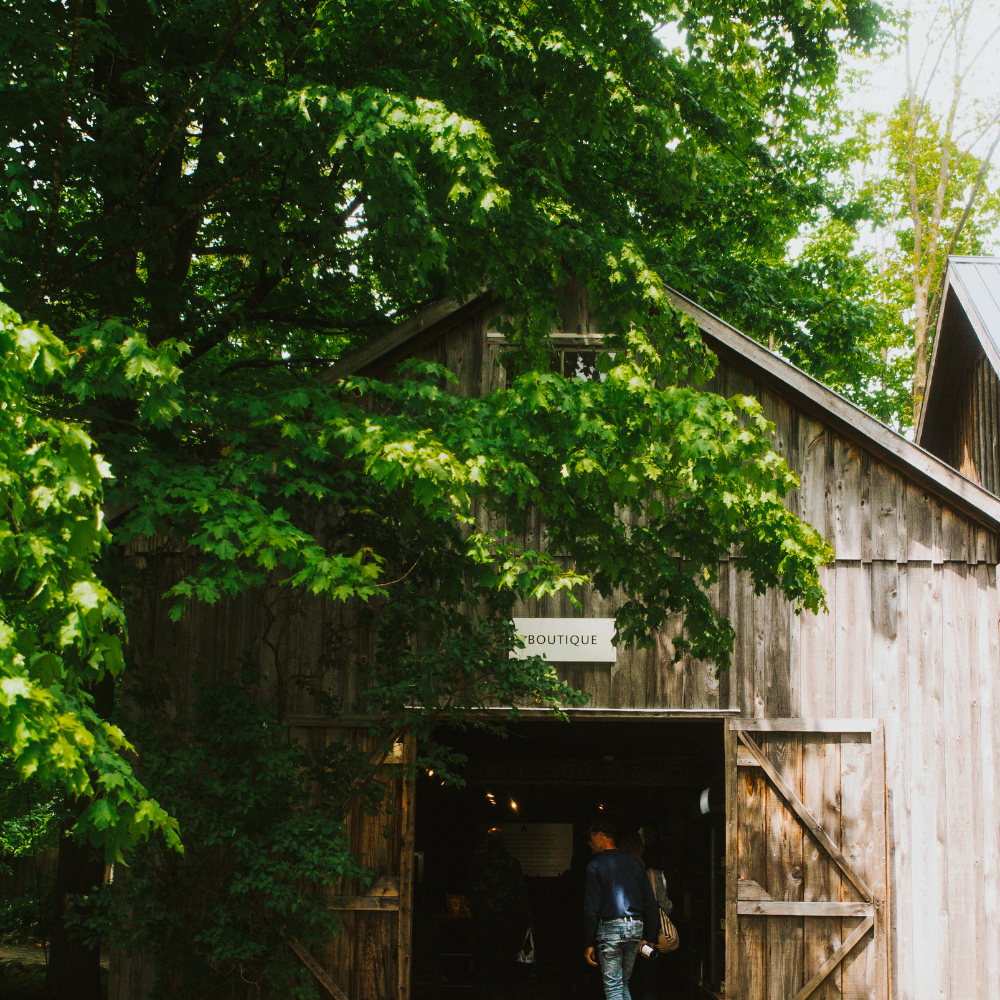 Wine tasting for 2 people - Domaine du Ridge