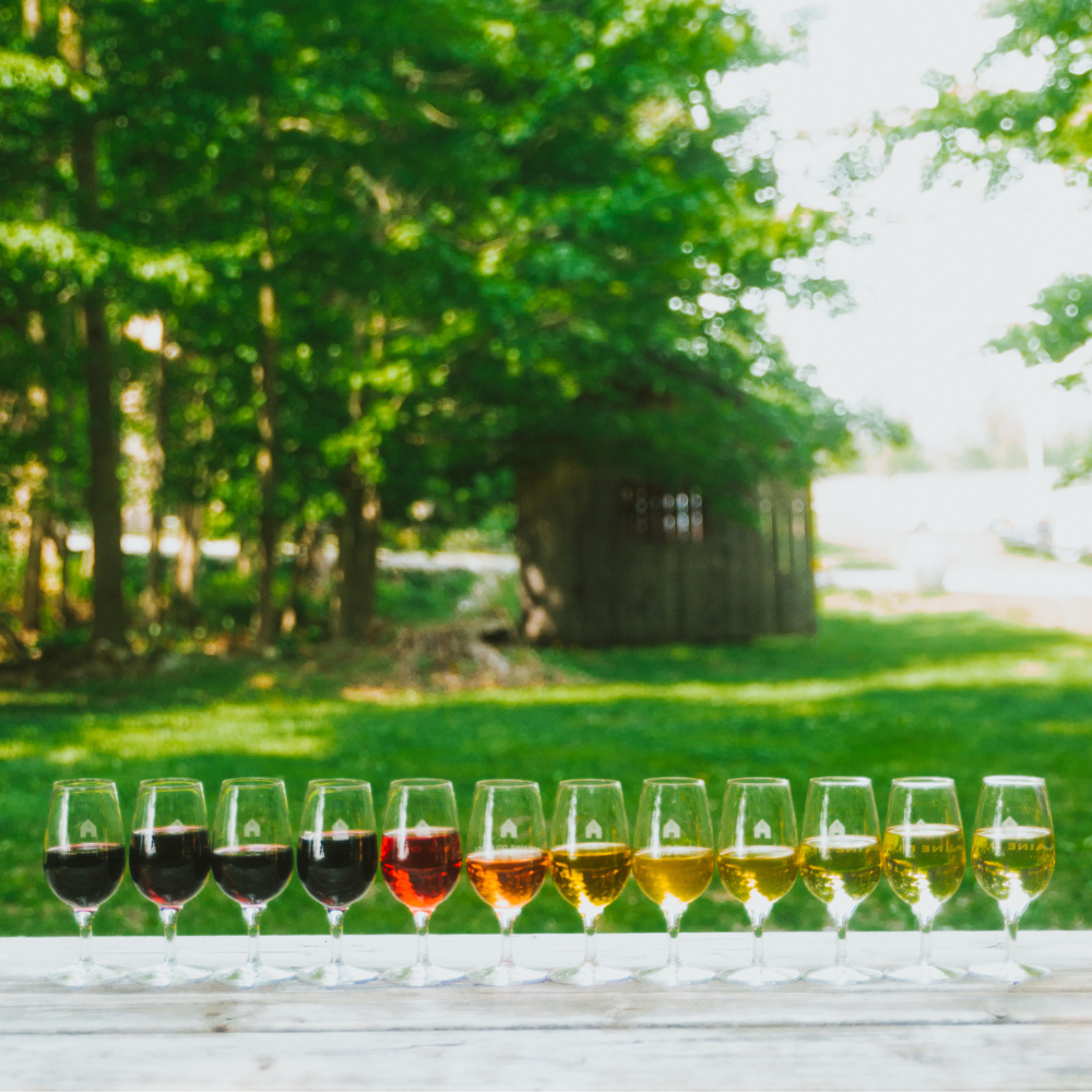 Wine tasting for 2 people - Domaine du Ridge