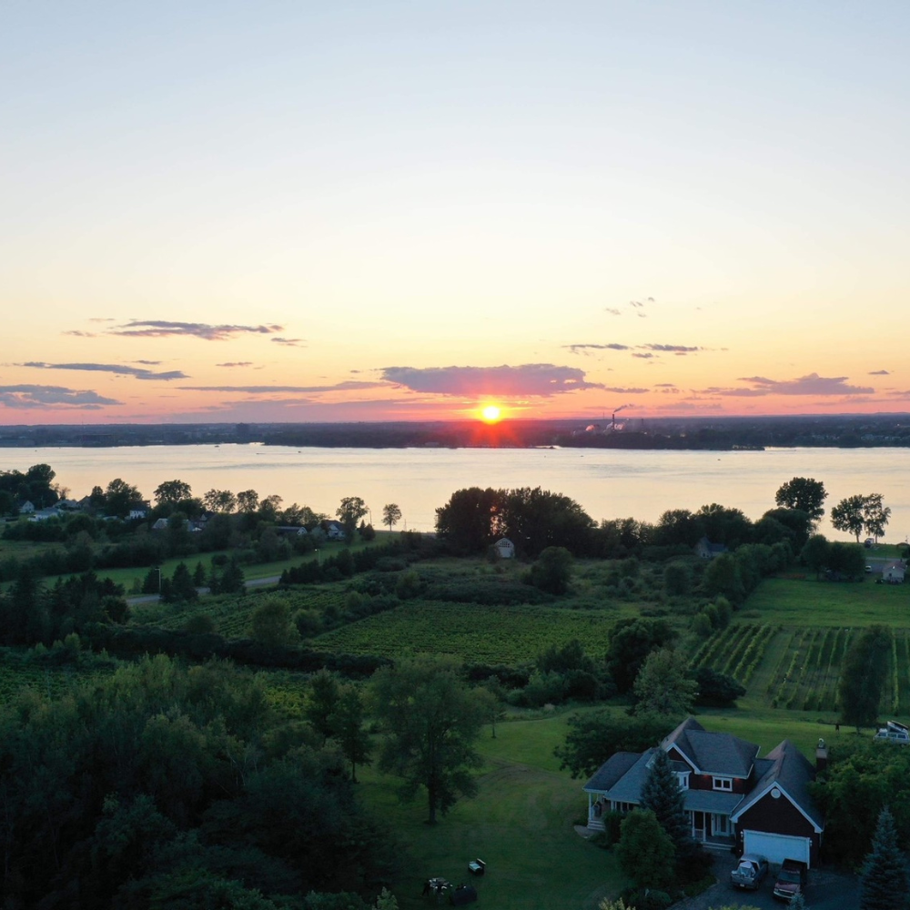 Tour and tasting for 2 people - Domaine du Clos de l'Isle