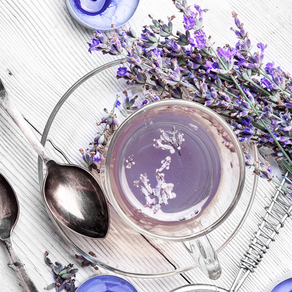Tisane Lavande