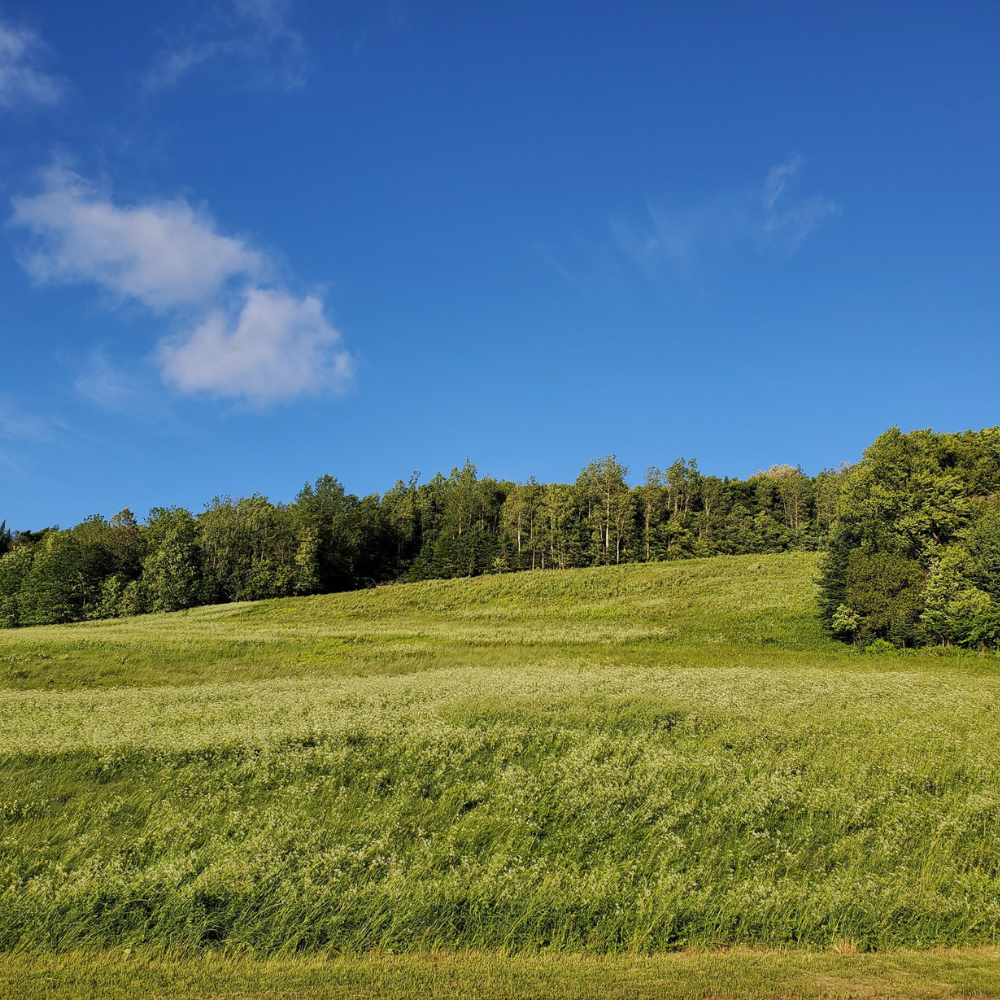 Three nights for 2 people - Sainte-Véronique campsite