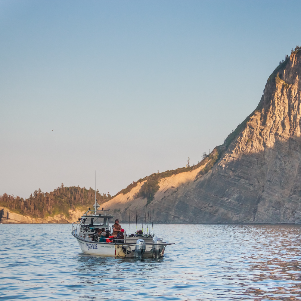 Cruise/Sea Fishing for 1 person - Auberge Griffon Aventure
