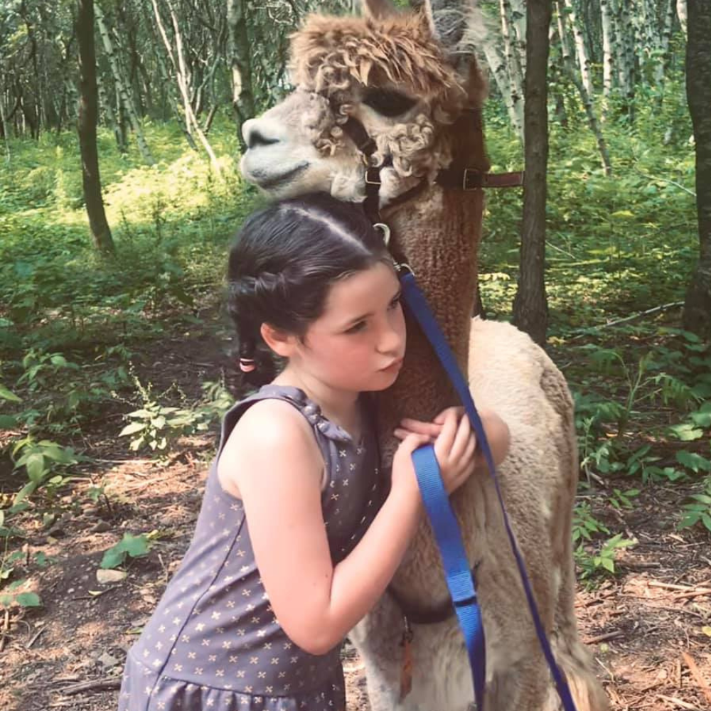 Alpaca walk for 4 people - Alpacas du Domaine Poissant