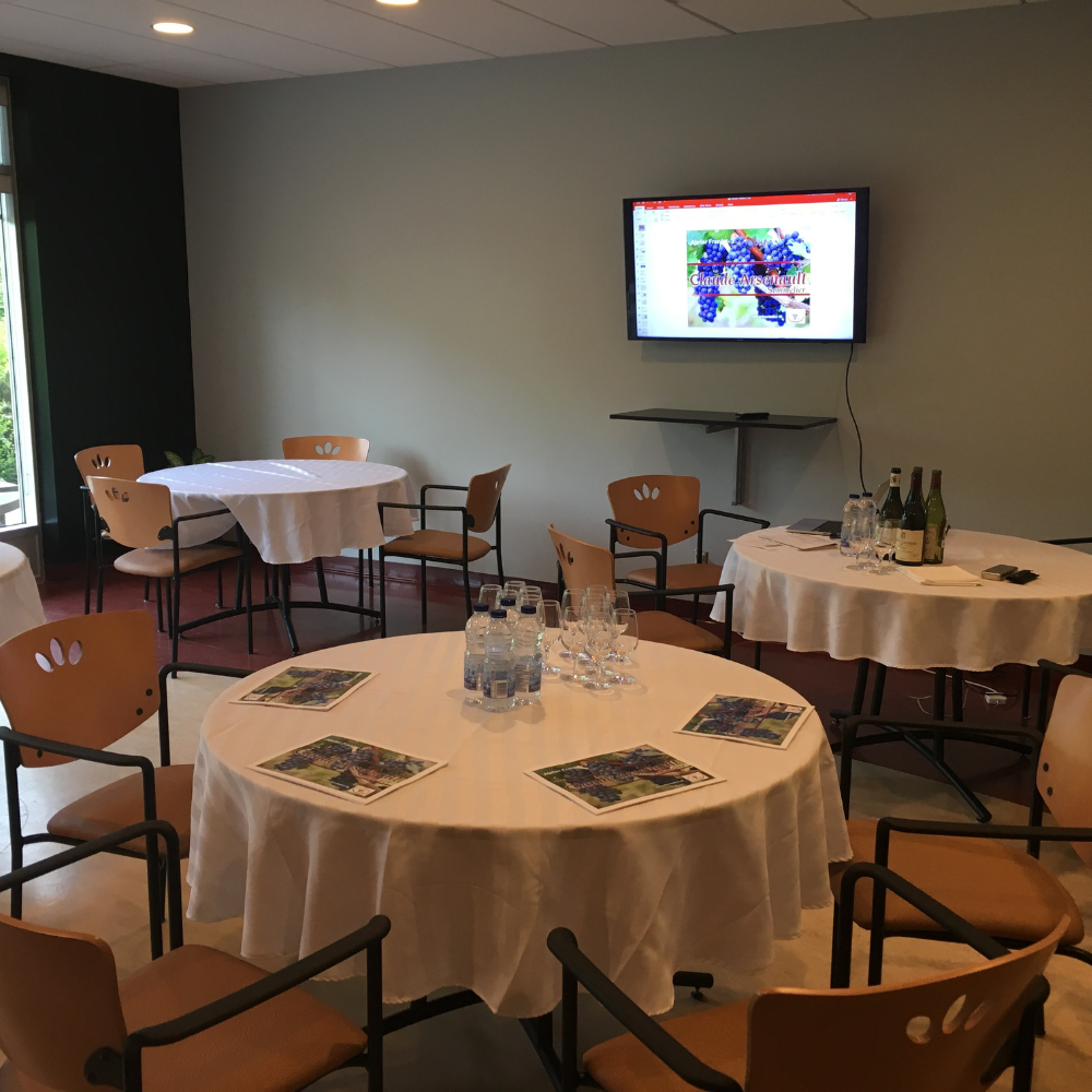 Training and tasting for 2 people - Wine Experience